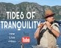 Tides of Tranquility — flute relaxation: flute improvisation with live looping on the Norwegian Fjord