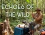 Echoes of the Wild: a sonic journey in the heart of the forest